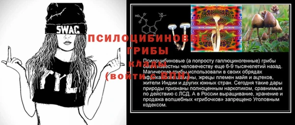 a pvp Арсеньев